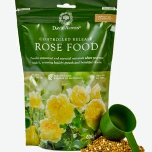 fertilizator trandafiri englezesti