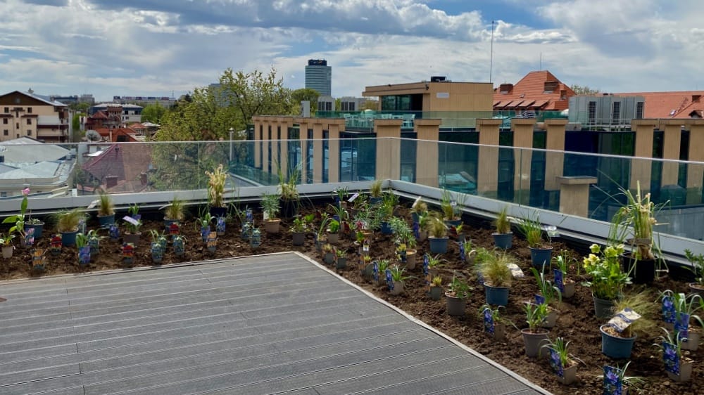 terasa rooftop duplex penthhouse bucuresti